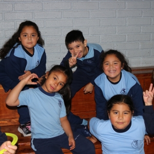 Día de la Actividad Física